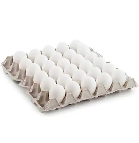 Loose White Eggs Tray